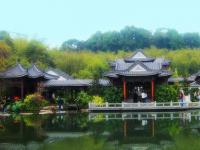 東莞人民公園監(jiān)控工程整改